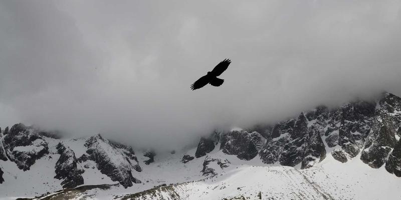 山东十大高山排名 架构实拍图