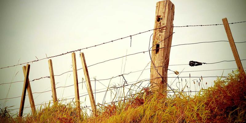 尤妮丝写真照 架构实拍图
